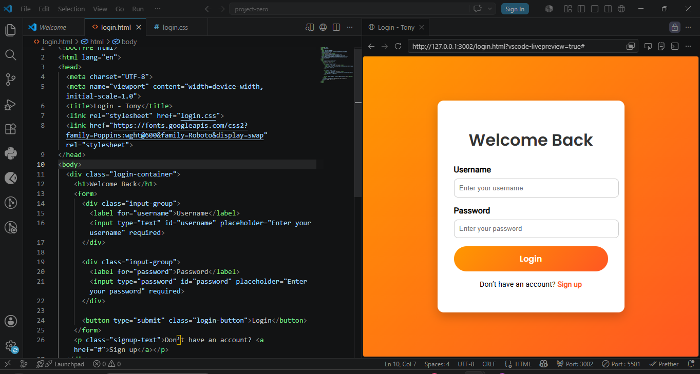 Screenshot of my login form project
