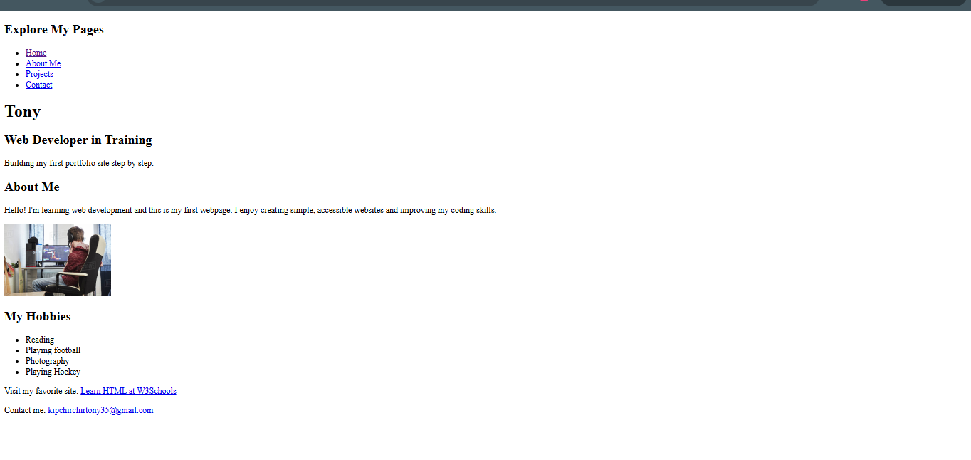Screenshot of my portfolio project